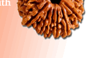 rudraksha, Rudraksham